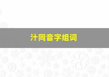 汁同音字组词