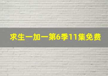 求生一加一第6季11集免费