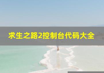 求生之路2控制台代码大全