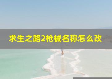 求生之路2枪械名称怎么改