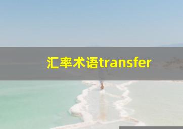 汇率术语transfer