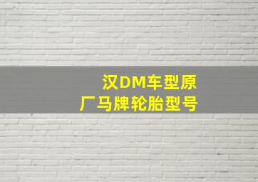 汉DM车型原厂马牌轮胎型号