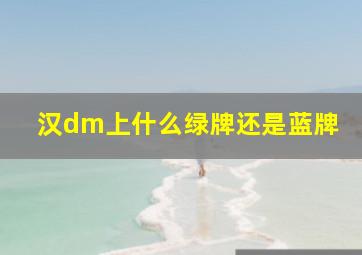 汉dm上什么绿牌还是蓝牌