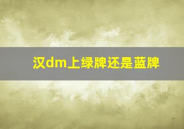 汉dm上绿牌还是蓝牌