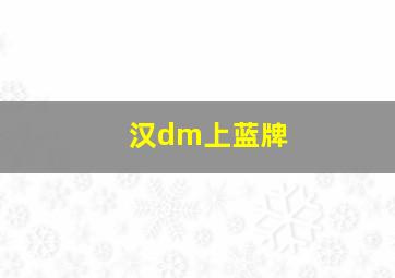 汉dm上蓝牌