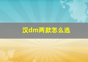 汉dm两款怎么选