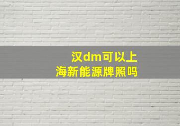 汉dm可以上海新能源牌照吗