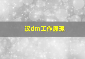 汉dm工作原理