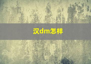 汉dm怎样