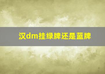 汉dm挂绿牌还是蓝牌