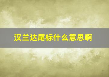 汉兰达尾标什么意思啊