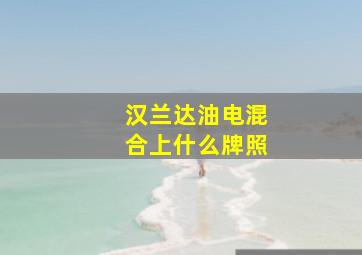 汉兰达油电混合上什么牌照