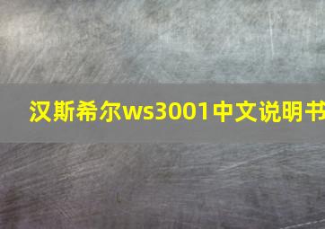 汉斯希尔ws3001中文说明书