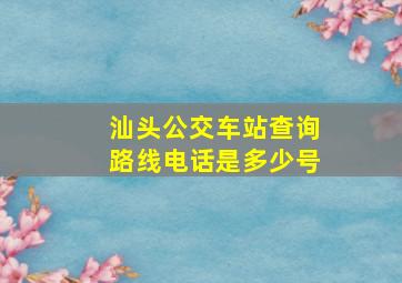 汕头公交车站查询路线电话是多少号