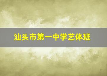 汕头市第一中学艺体班