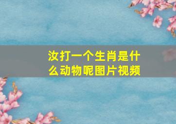 汝打一个生肖是什么动物呢图片视频