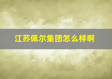 江苏佩尔集团怎么样啊