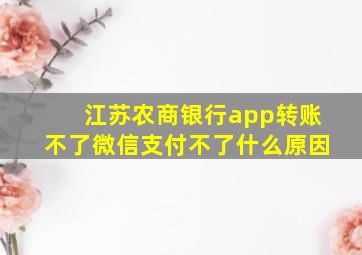 江苏农商银行app转账不了微信支付不了什么原因