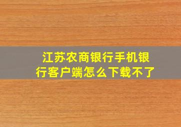 江苏农商银行手机银行客户端怎么下载不了