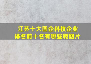 江苏十大国企科技企业排名前十名有哪些呢图片