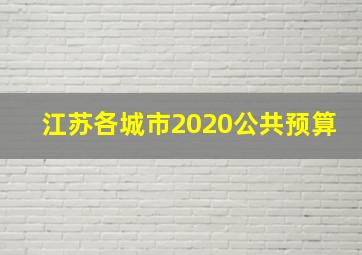 江苏各城市2020公共预算