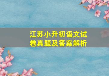 江苏小升初语文试卷真题及答案解析