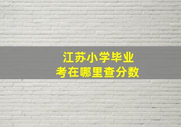 江苏小学毕业考在哪里查分数