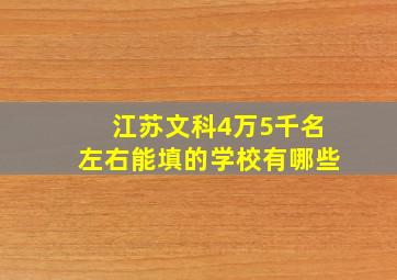 江苏文科4万5千名左右能填的学校有哪些