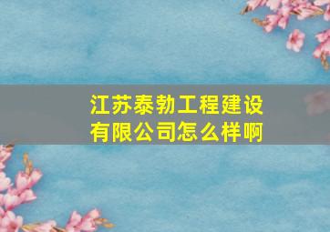 江苏泰勃工程建设有限公司怎么样啊