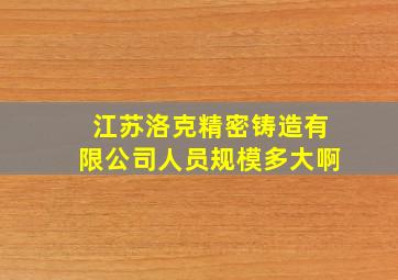 江苏洛克精密铸造有限公司人员规模多大啊