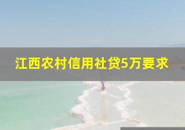 江西农村信用社贷5万要求