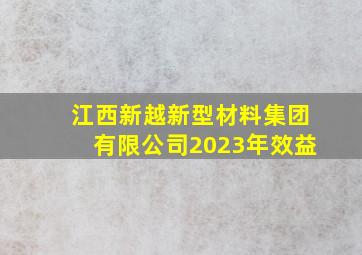 江西新越新型材料集团有限公司2023年效益