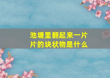 池塘里翻起来一片片的块状物是什么