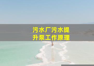 污水厂污水提升泵工作原理