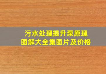 污水处理提升泵原理图解大全集图片及价格