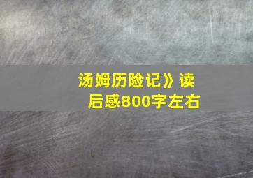 汤姆历险记》读后感800字左右