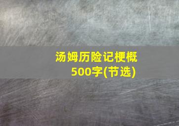 汤姆历险记梗概500字(节选)