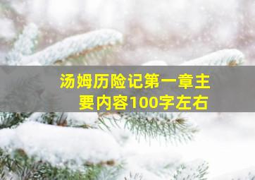 汤姆历险记第一章主要内容100字左右