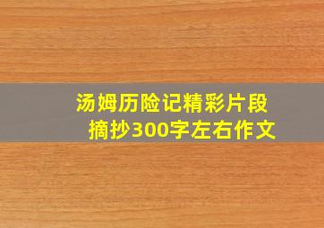 汤姆历险记精彩片段摘抄300字左右作文