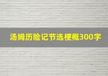 汤姆历险记节选梗概300字