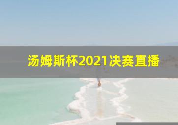 汤姆斯杯2021决赛直播