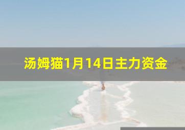 汤姆猫1月14日主力资金