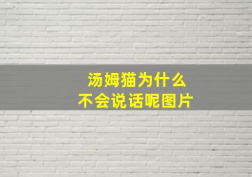 汤姆猫为什么不会说话呢图片