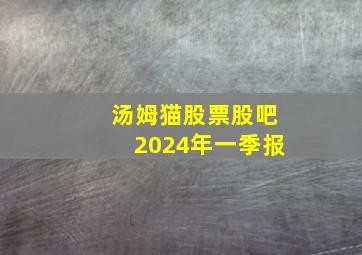 汤姆猫股票股吧2024年一季报