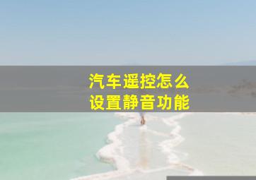 汽车遥控怎么设置静音功能