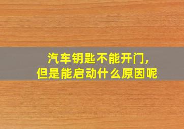 汽车钥匙不能开门,但是能启动什么原因呢