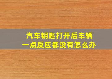 汽车钥匙打开后车辆一点反应都没有怎么办