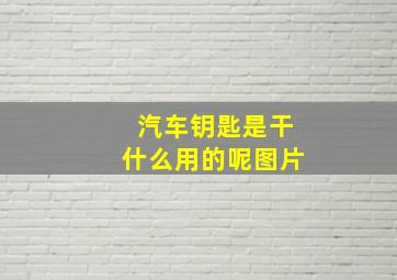 汽车钥匙是干什么用的呢图片