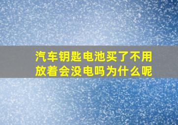 汽车钥匙电池买了不用放着会没电吗为什么呢