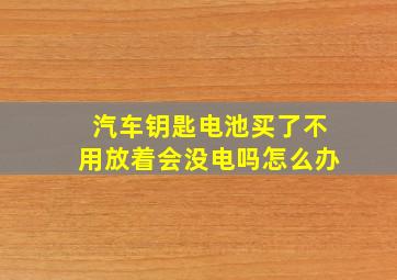 汽车钥匙电池买了不用放着会没电吗怎么办